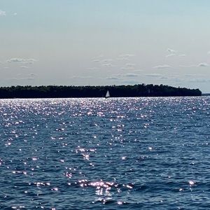 Meet your Posher, Tami